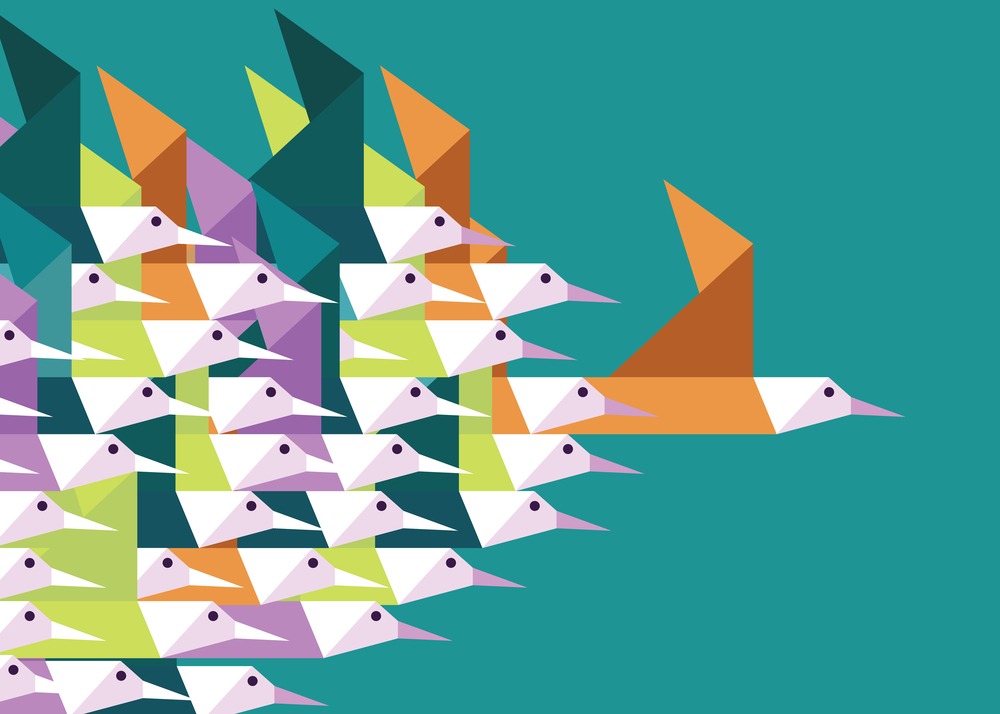 Colourful image of geometric birds in flight. There is one bird leading the flock, suggesting it is the leader.